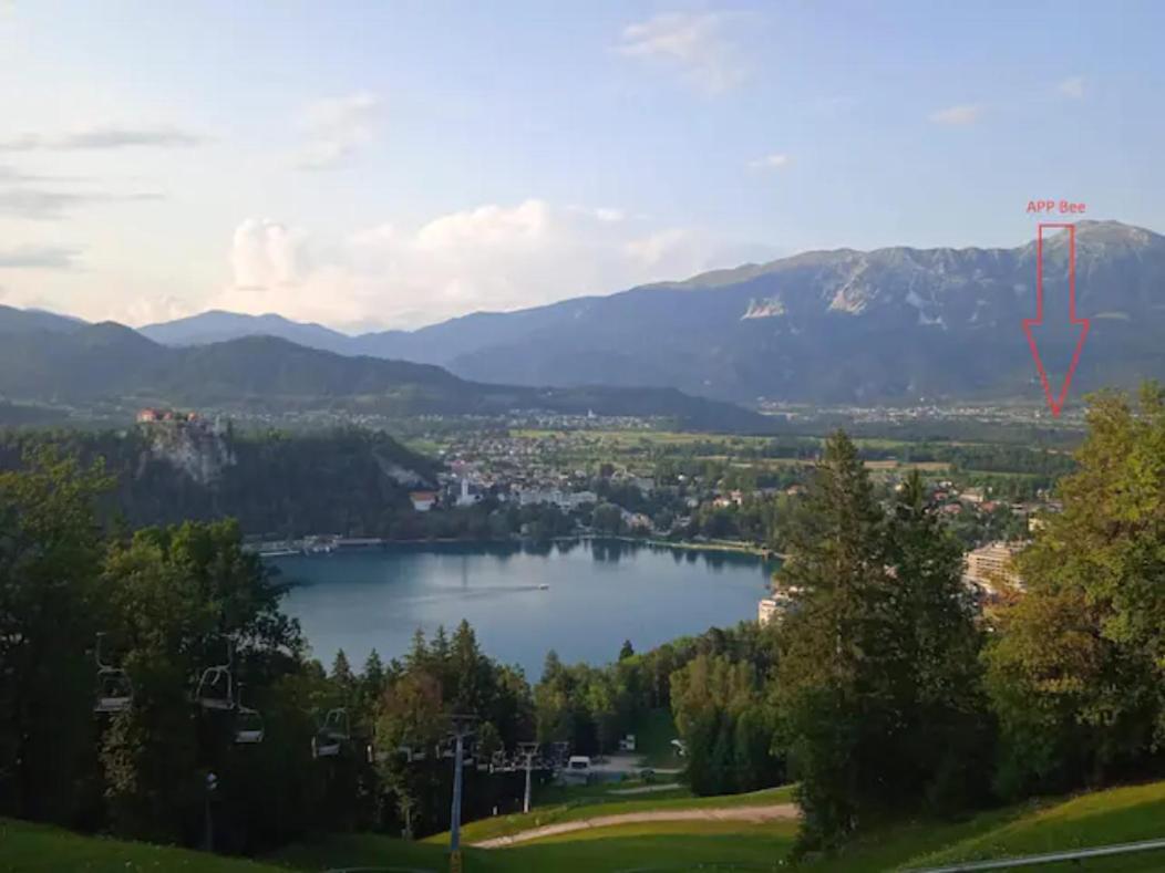 Apartment Mojca Near Bled Zabreznica 외부 사진