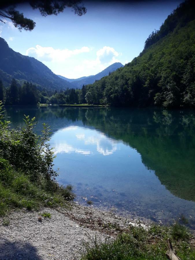 Apartment Mojca Near Bled Zabreznica 외부 사진